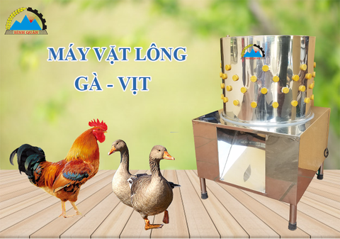 Có nên mua máy vặt lông gà - vịt giá rẻ của công ty Bình Quân không?