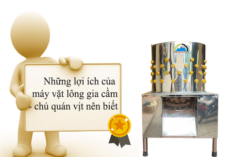 Những lợi ích của máy vặt lông gia cầm, chủ quán gà vịt nên biết