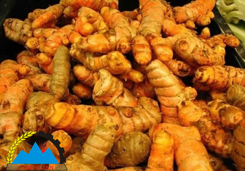Những công dụng tuyệt vời của nghệ mà bạn chưa biết hết