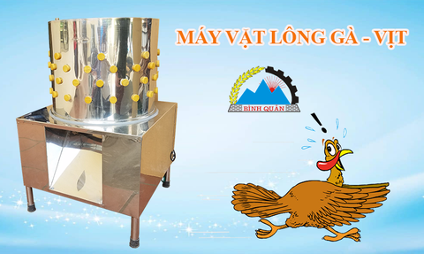 Công ty Bình Quân bán máy vặt lông gà, lông vịt, ngan, chim cút