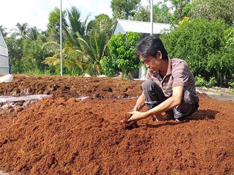 Cách tận dụng xơ dừa để làm phân hữu cơ