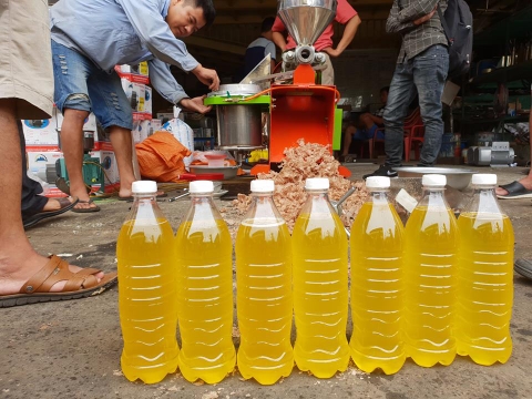 Nguyên nhân máy ép dầu thực vật luôn cháy hàng trong năm 2019