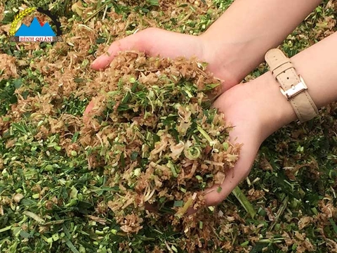 Máy băm chuối đa năng, tiện lợi, tiết kiệm