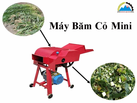 Máy băm cỏ mini gia đình tiện lợi nhưng vẫn chất lượng