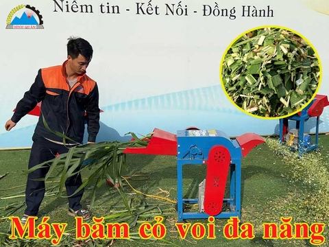 Máy băm cỏ voi đa năng - Máy băm các loại cỏ