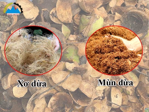 Máy băm xơ dừa B1200 Bình Quân có giá bao nhiêu?