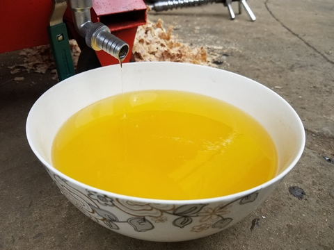 Kinh doanh dịch vụ ép dầu lạc, vừng lợi nhuận khủng ít ai biết