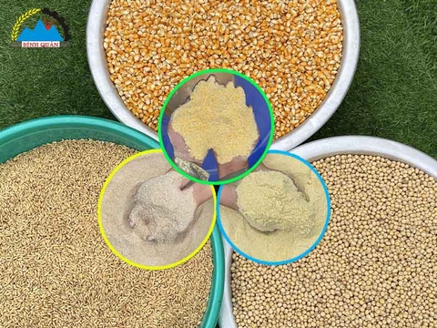 Máy nghiền cám phục vụ chăn nuôi có tốt không?