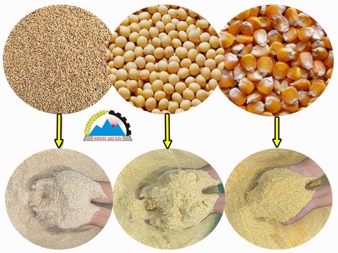 Tổng hợp máy xay cám giá rẻ, bán chạy nhất hiện nay