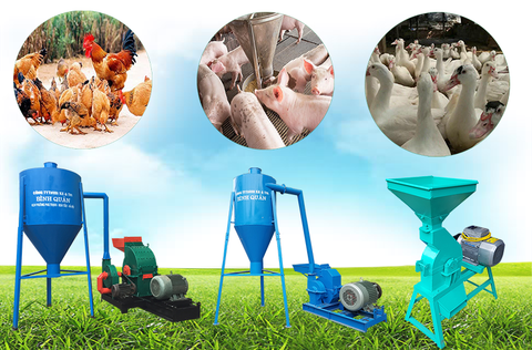 Máy nghiền thức ăn gia súc cánh tay đắc lực cho trại chăn nuôi