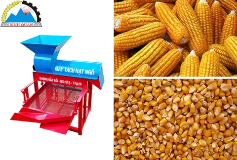 Máy tách hạt ngô Bình Quân bằng cả trăm người làm mà giá lại rẻ