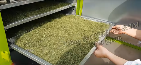 Bán máy sấy dược liệu giá rẻ, sấy khô các loại hoa quả, lá cây