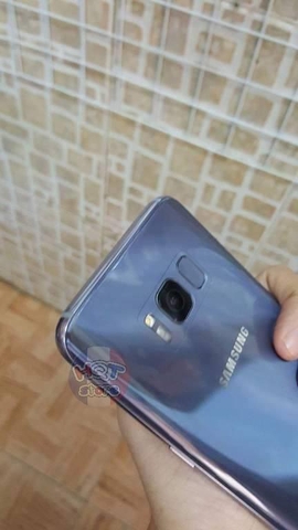 Dán dẻo full mặt lưng Samsung S8 Plus