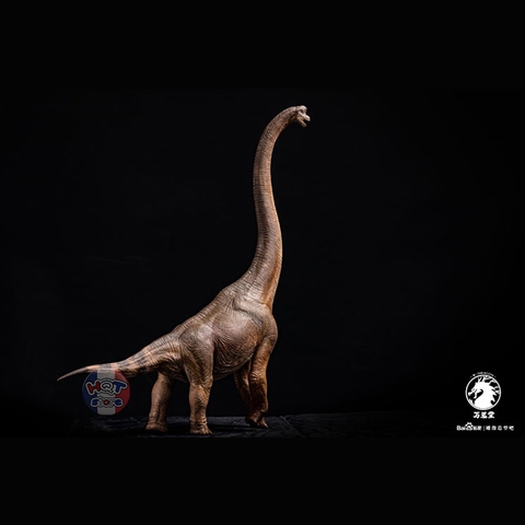 Mô hình khủng long Brachiosaurus W-Dragon tỉ lệ 1/35 chính hãng