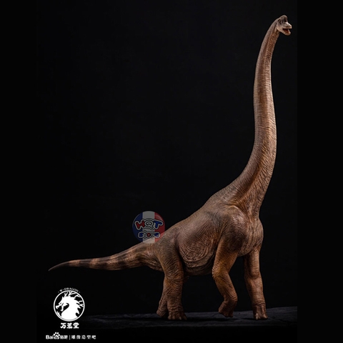 Mô hình khủng long Brachiosaurus W-Dragon tỉ lệ 1/35 chính hãng