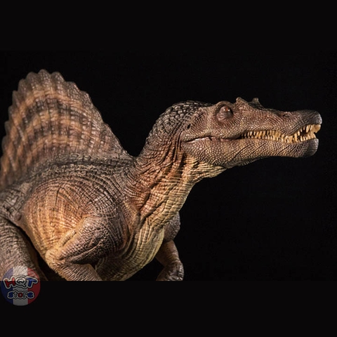 Mô hình khủng long Spinosaurus Nanmu Supplanter tỉ lệ 1/35 chính hãng