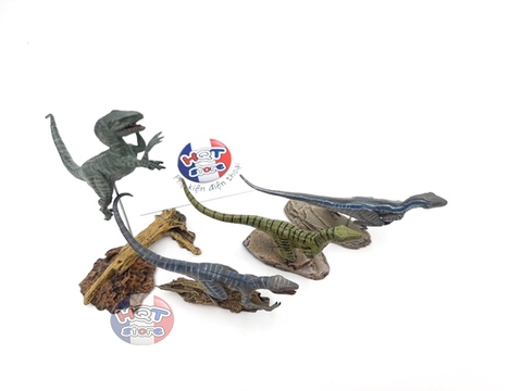 Mô hình khủng long Velociraptor Nanmu tỉ lệ 1/35 chính hãng (4 con)