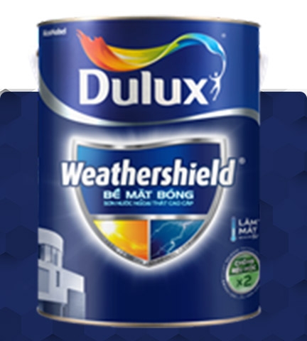 Weathershield PowerFlexx - GJ8B - Bóng - 5L