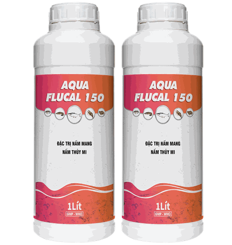 AQUA FLUCAL 150