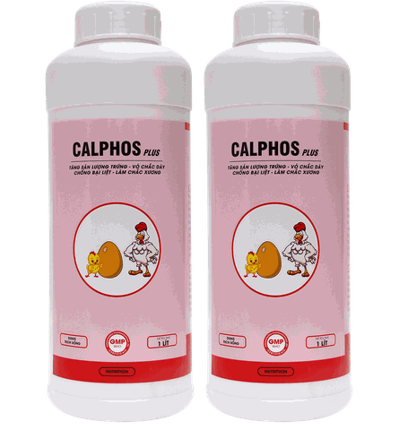 CALPHOS PLUS