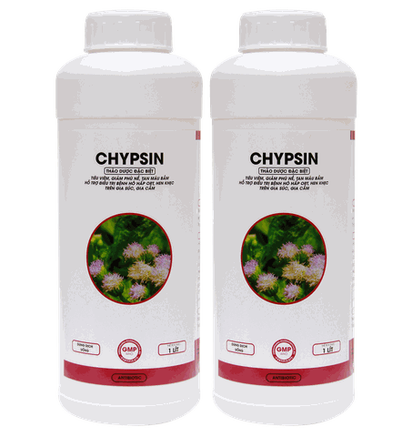 CHYPSIN