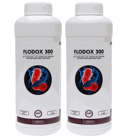 FLODOX 300