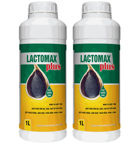 LACTOMAX PLUS