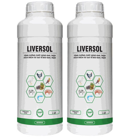 LIVERSOL