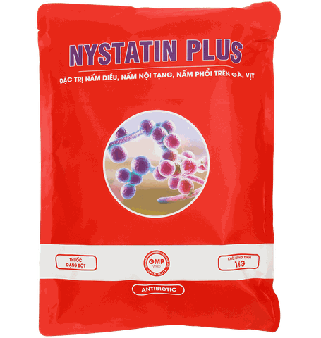 NYSTATIN PLUS