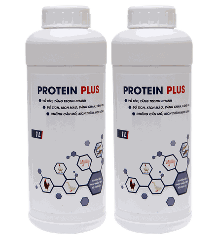 PROTEIN PLUS