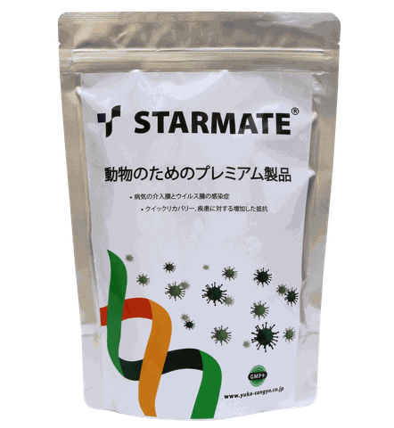 STARMATE