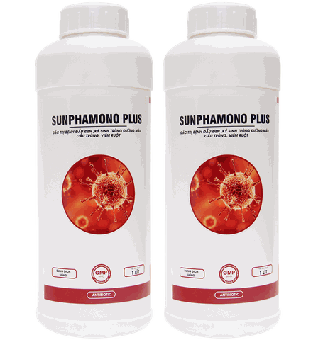 SUNPHAMONO PLUS