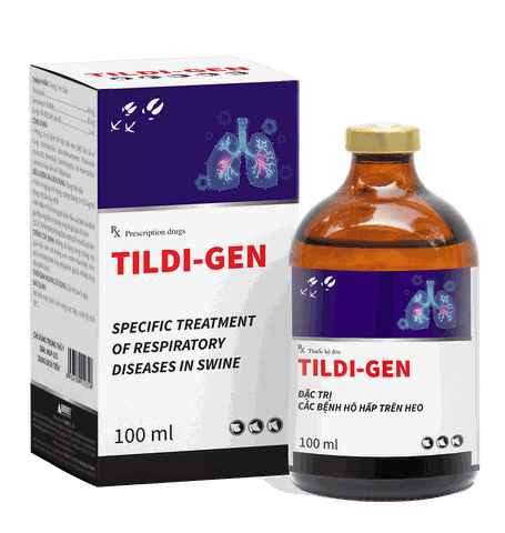 TILDI-GEN