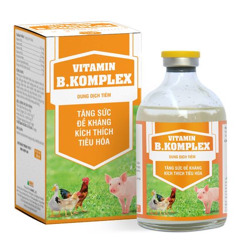 VITAMIN B.KOMPLEX