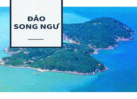 Du lịch đảo Hòn Ngư 