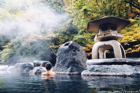 Tour Yoko Onsen Quang Hanh Giá Rẻ Du Lịch Chất Lượng 2024