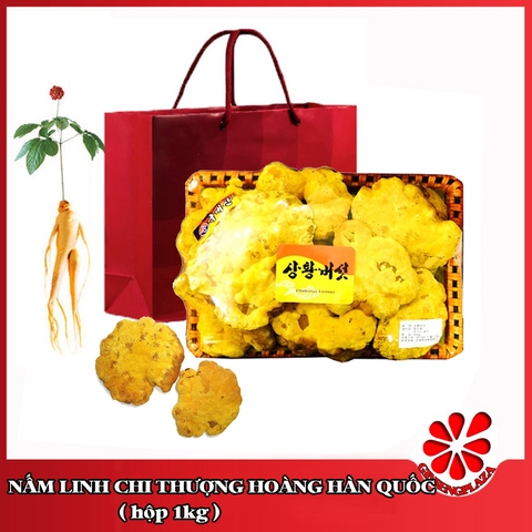 Nấm Linh Chi Thượng Hoàng Hàn Quốc Cao Cấp - 1kg