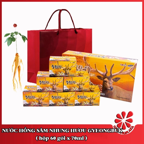 Nước hồng sâm nhung hươu Gyeongbuk Hộp 60 gói x 70ml