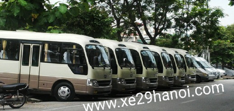 xe 29 chỗ đi vườn Hướng Dương - Nghĩa Đàn 01 ngày