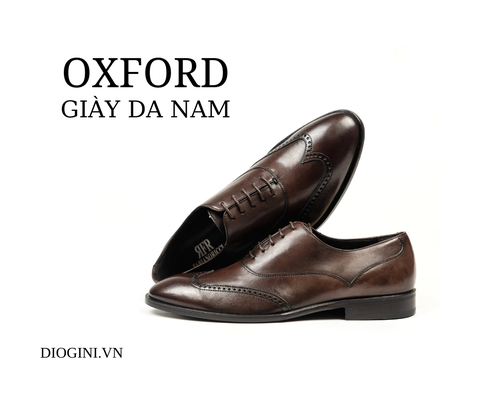 Giày da nam Oxford - Mẫu giày quý ông công sở nên có