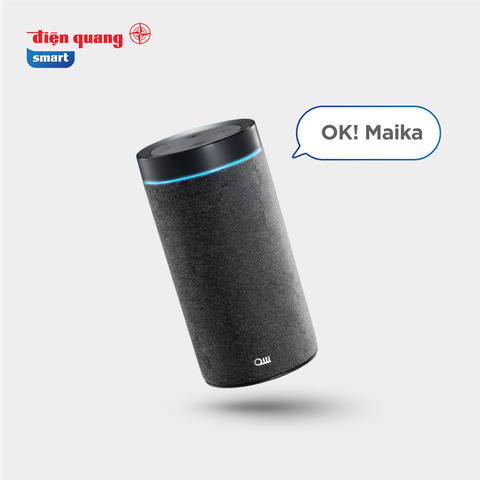 Loa thông minh DQSmart OL 1.1 ( Trợ lý ảo tiếng Việt Maika )