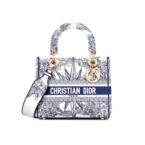 TÚI Christian Dior Lady D-lite Bag Blue Multicolor Rêve D’Infini Embroidery