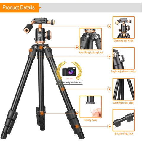 Chân máy ảnh Tripod Beike Q-160S