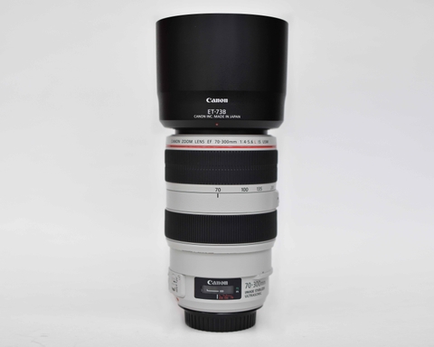 Canon EF 70-300mm F/4-5.6L IS USM