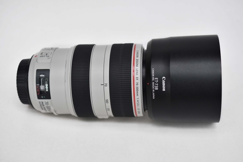 Canon EF 70-300mm F/4-5.6L IS USM