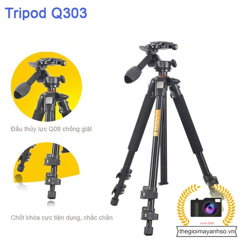 Chân máy ảnh Tripod Beike Q303 chính hãng