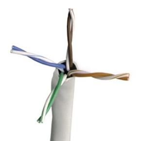 Chọn cáp mạng AMP Cat5e cho môi trường kinh doanh