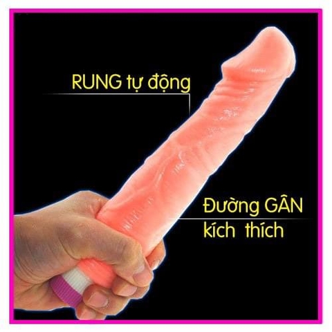 Dương Vật Giả 2 Pin mang đến sự thăng hoa cực đỉnh