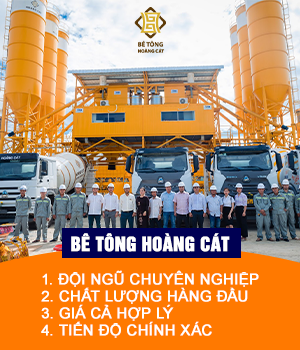 Be Tong Hoang Cat