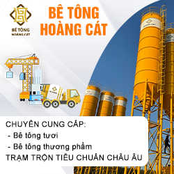 Be Tong Hoang Cat